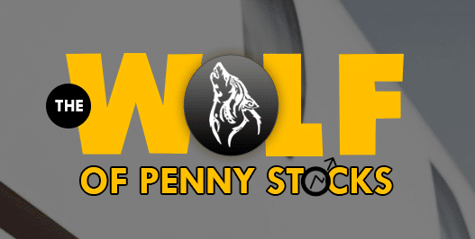The Wolf Of Penny Stocks